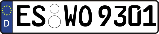 ES-WO9301