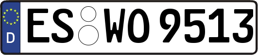 ES-WO9513