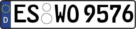 ES-WO9576