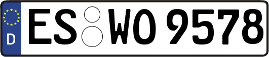 ES-WO9578
