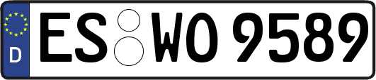 ES-WO9589