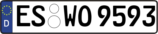 ES-WO9593