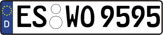 ES-WO9595