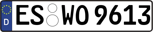 ES-WO9613