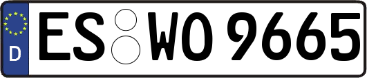 ES-WO9665