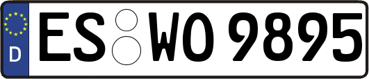 ES-WO9895