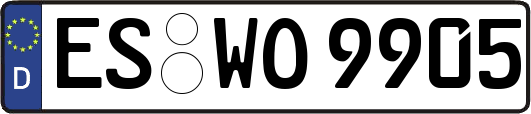 ES-WO9905