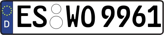 ES-WO9961