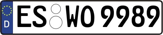 ES-WO9989
