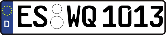 ES-WQ1013