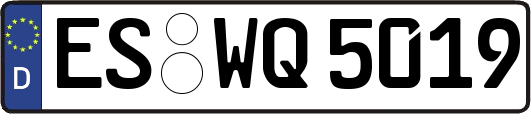 ES-WQ5019