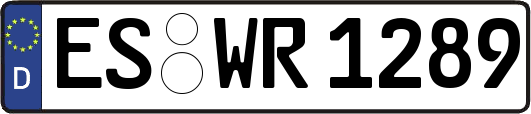 ES-WR1289