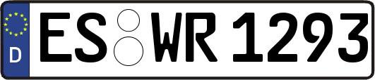 ES-WR1293