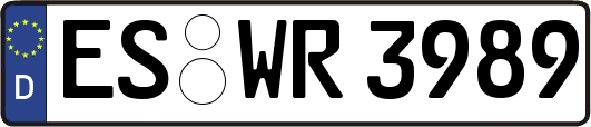 ES-WR3989