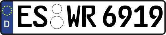 ES-WR6919