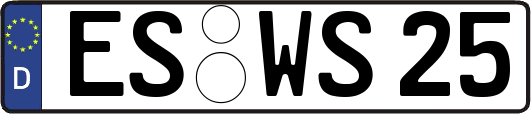 ES-WS25