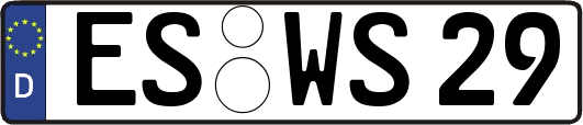 ES-WS29