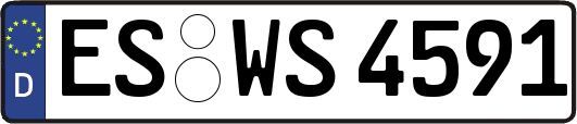 ES-WS4591