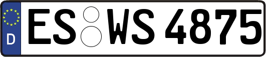 ES-WS4875