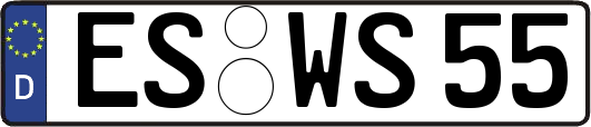 ES-WS55