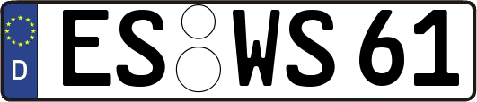 ES-WS61