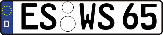 ES-WS65