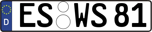 ES-WS81