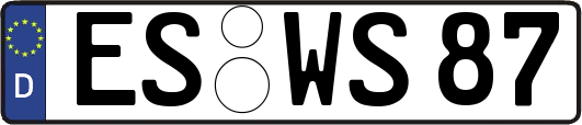 ES-WS87