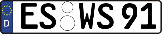 ES-WS91