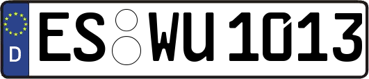ES-WU1013