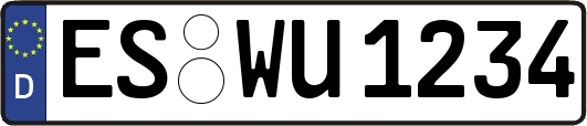 ES-WU1234