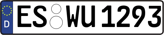 ES-WU1293