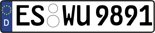 ES-WU9891
