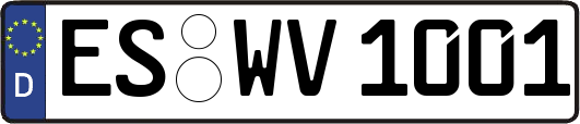 ES-WV1001