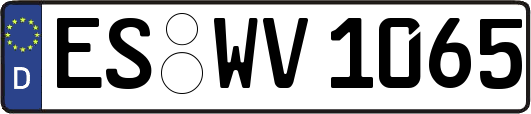 ES-WV1065