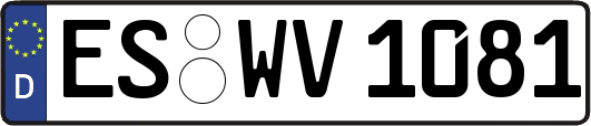 ES-WV1081