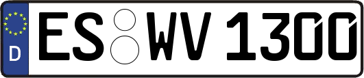 ES-WV1300