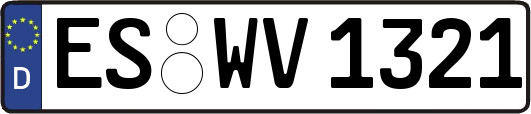 ES-WV1321