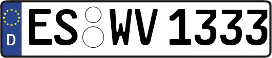 ES-WV1333