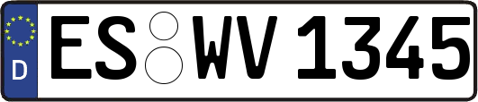 ES-WV1345