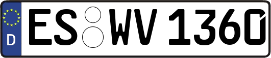 ES-WV1360