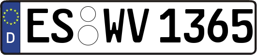 ES-WV1365