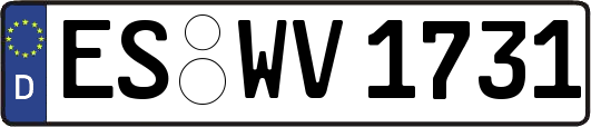 ES-WV1731
