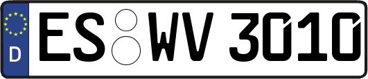 ES-WV3010