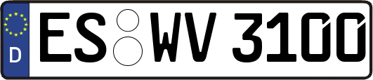 ES-WV3100