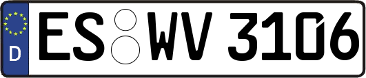 ES-WV3106