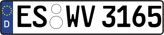 ES-WV3165