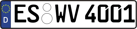 ES-WV4001