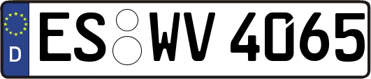 ES-WV4065