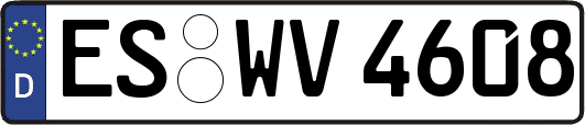 ES-WV4608